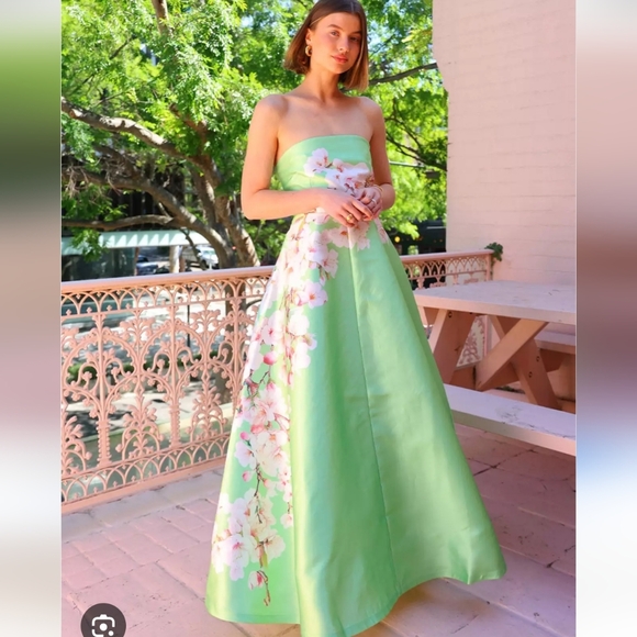 Aston Studio Audrey Dress In Paradise Blossom Size 8